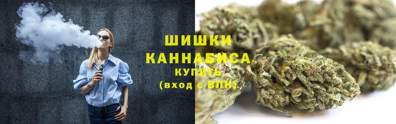 Конопля White Widow  shop телеграм  Сурск 